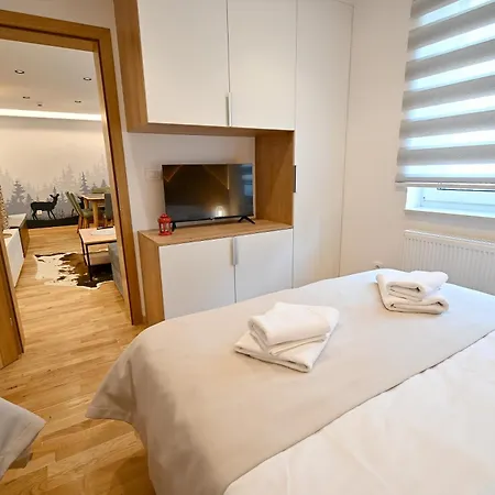 Grand Lucic Apartment *